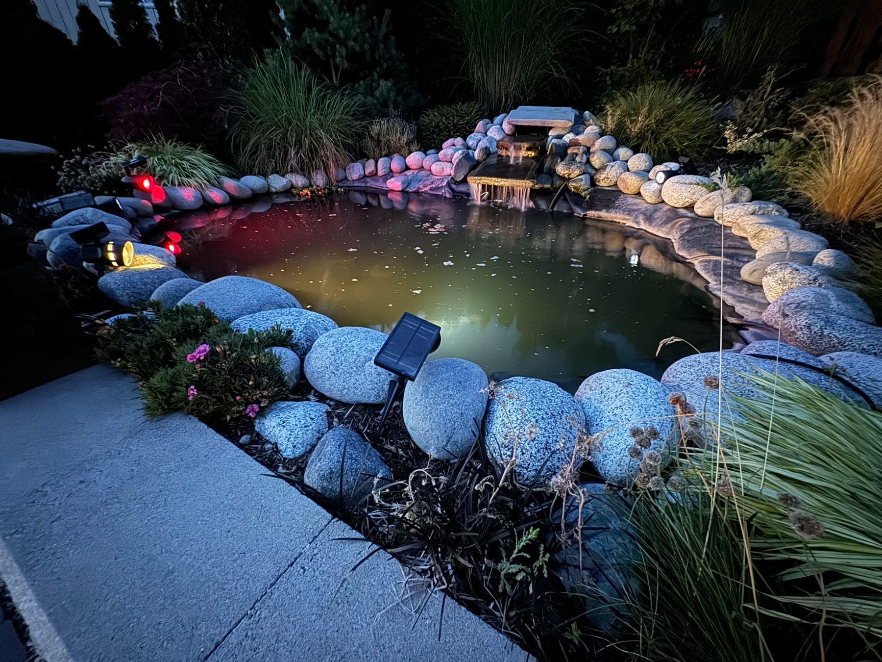 Pond lit at night